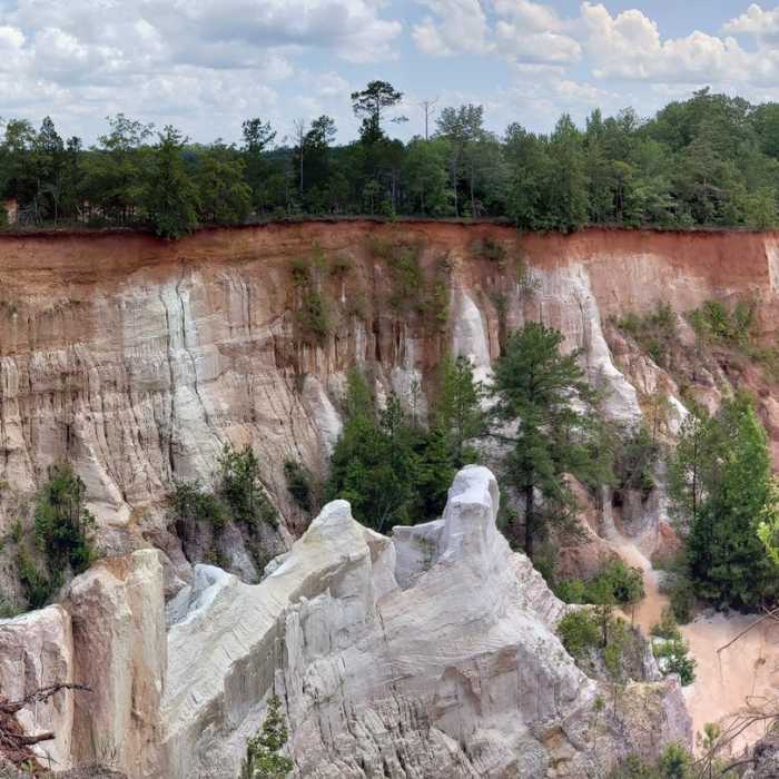Near Canyon Loop Trail