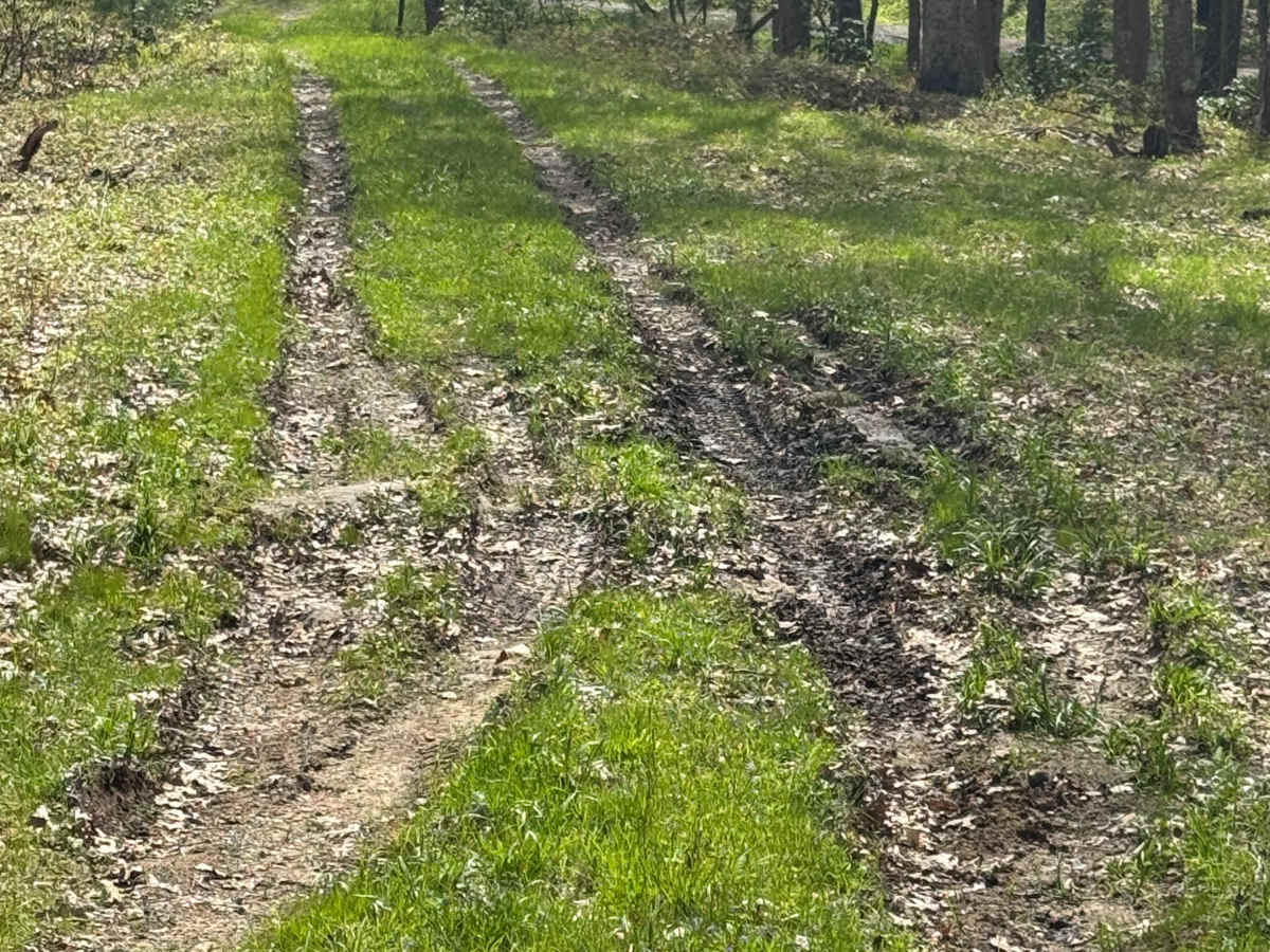 Kaiser Timber Road photo 4