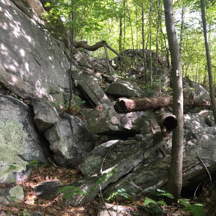 Near Stonetown Circular Trail Near Stonetown Circular Trail