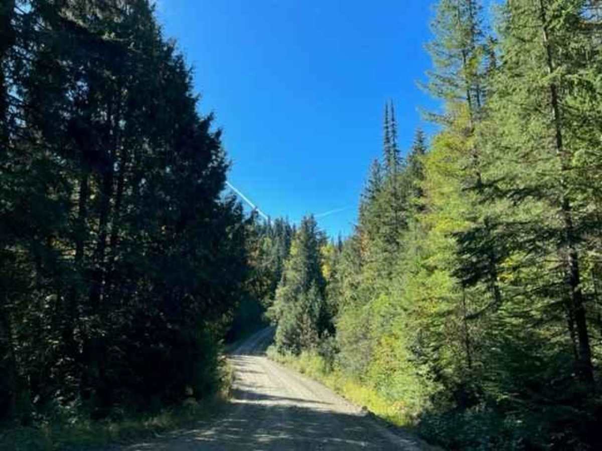Barriere Lake Road photo 2