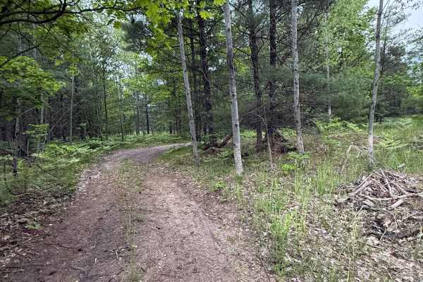 Crofton West Trail