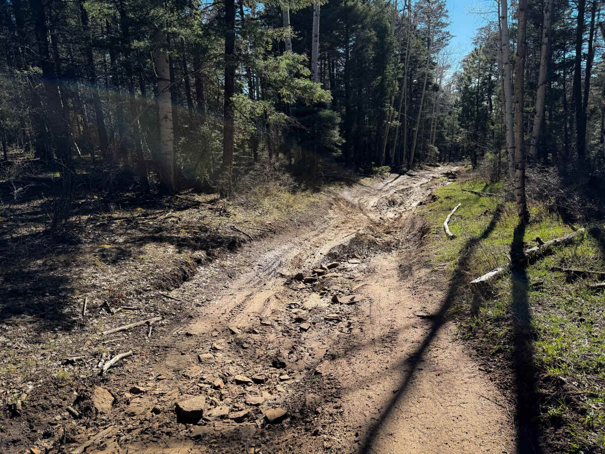 Eureka East  photo 4