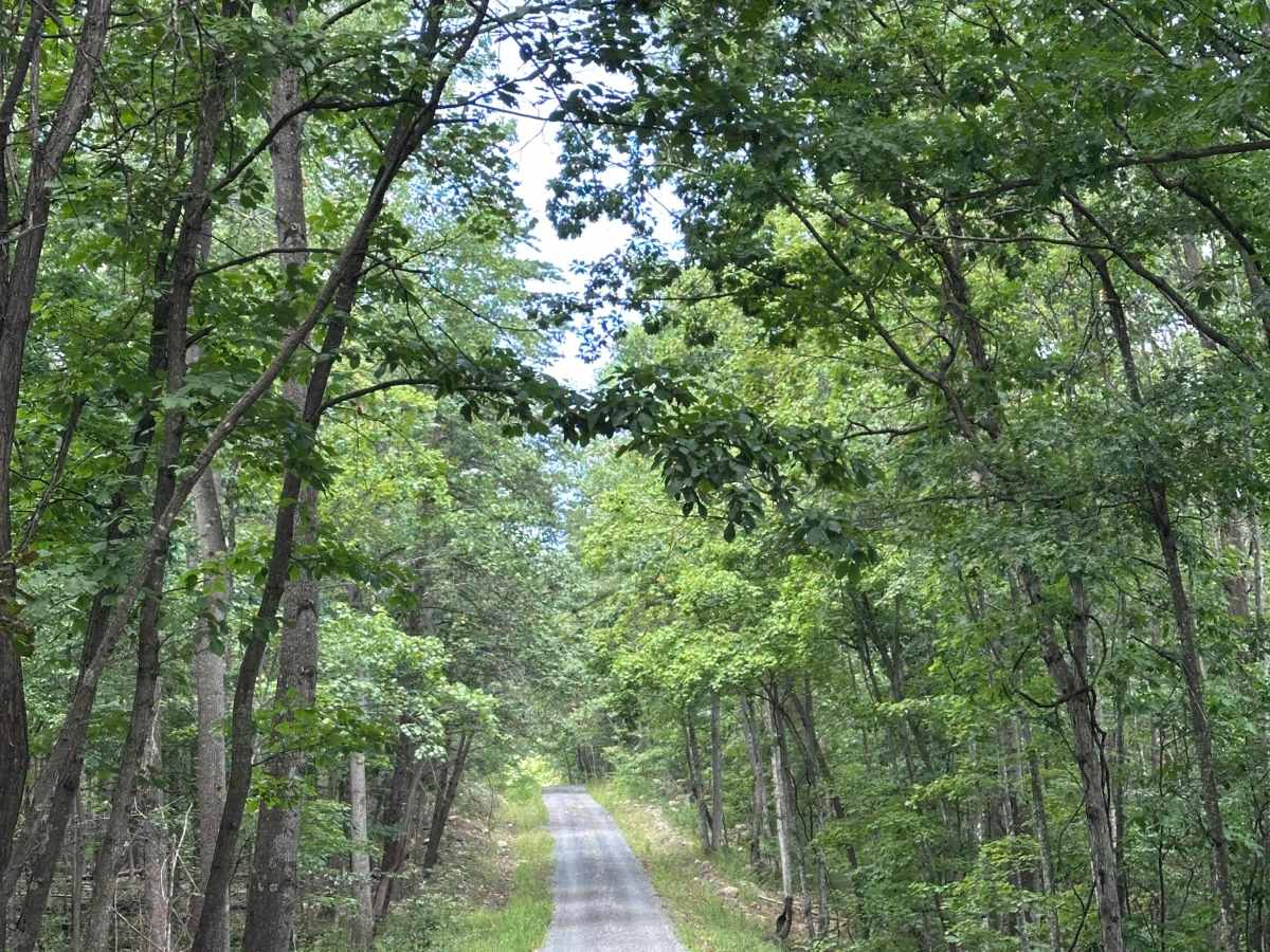 Narrow Passage - FS 88 trail photo