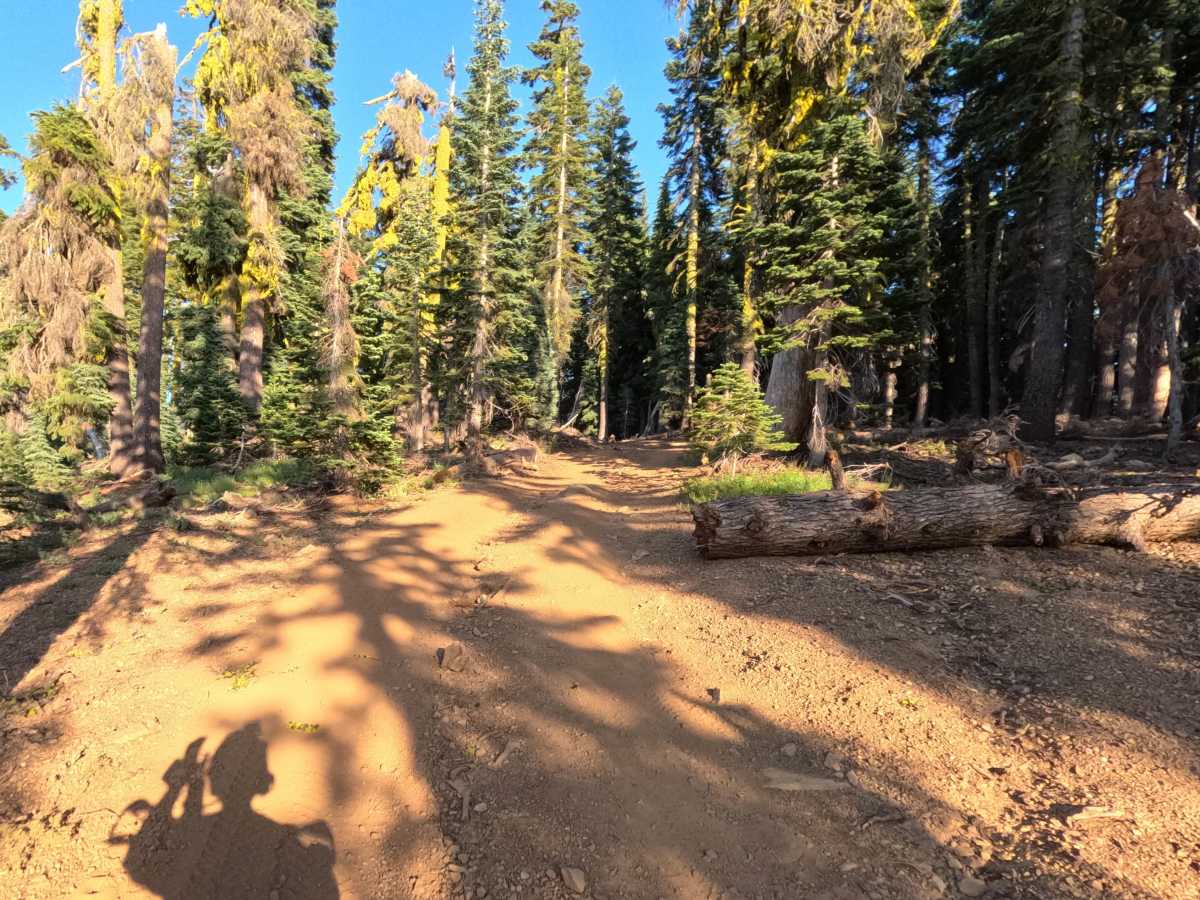 Gold Lake Shore Upper Segment - FS 12M01 trail photo