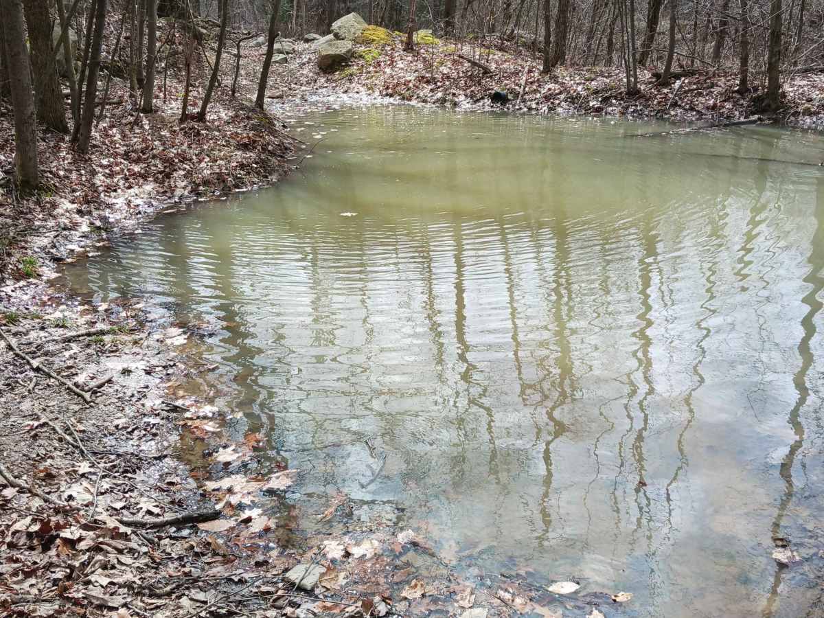 OHV 64 - Rock Run Recreation Area photo 4