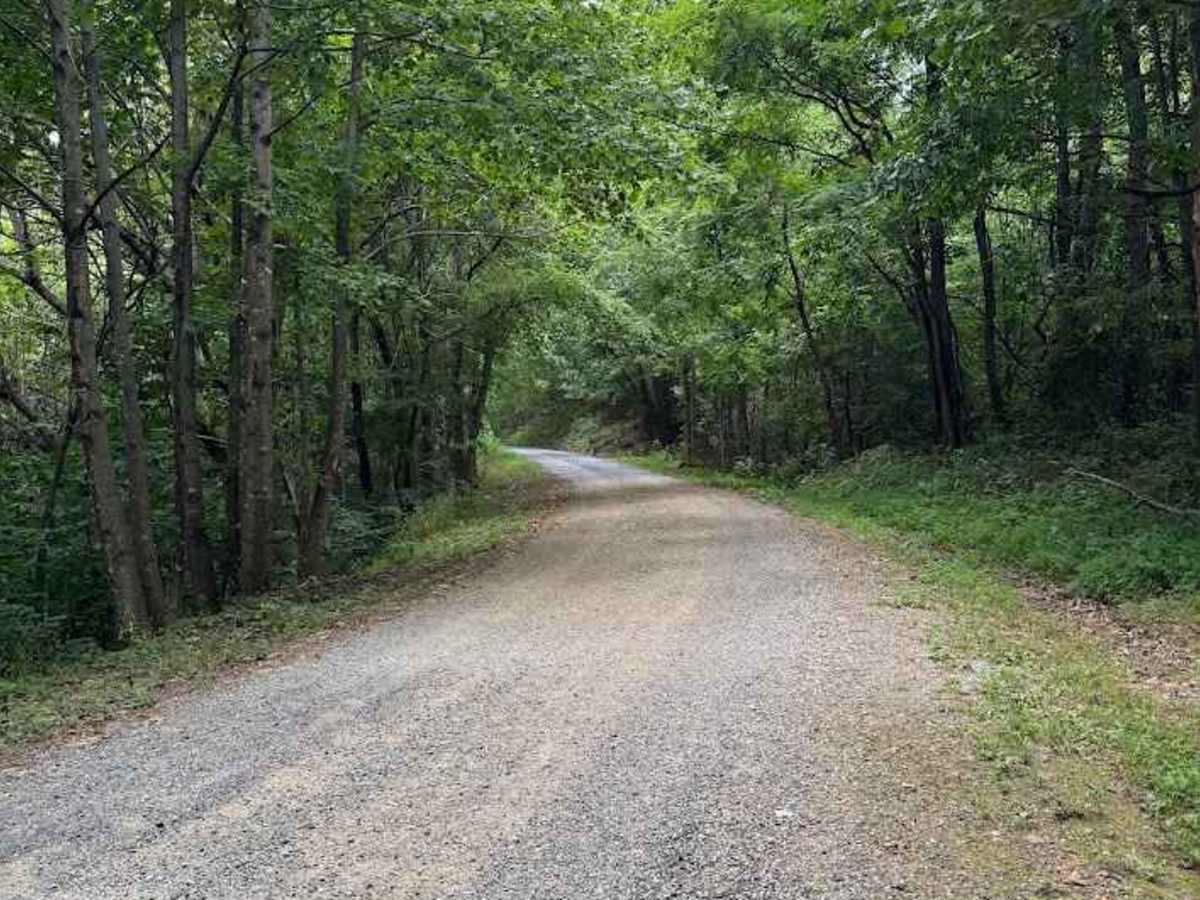 Goff Mountain Road photo 5