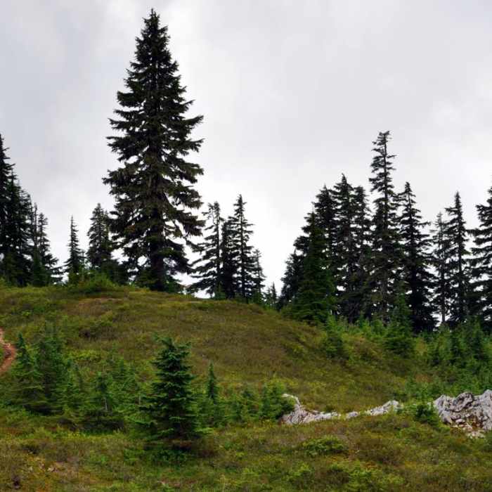 Near Dock Butte Hike
