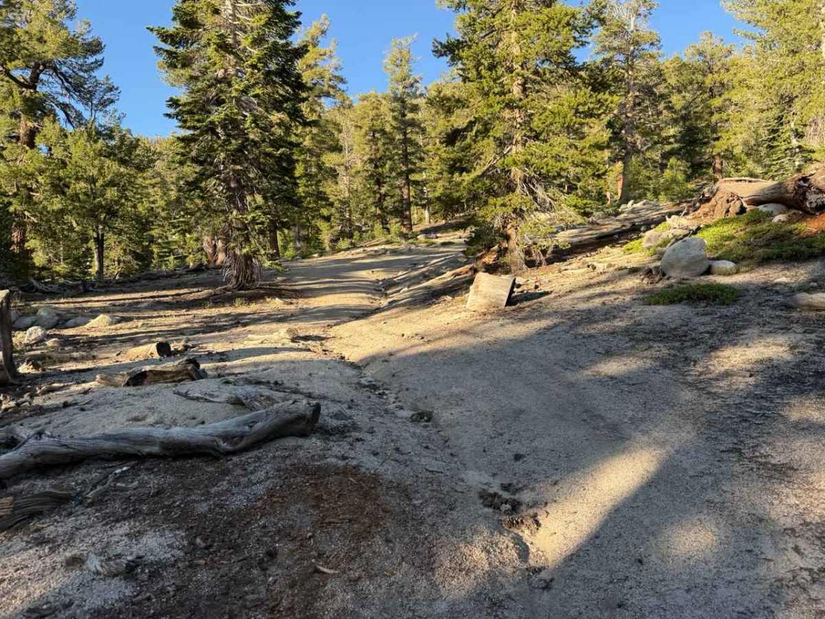 Unnamed Spur off Jobs Peak Trail Road - FS 31051 photo 3