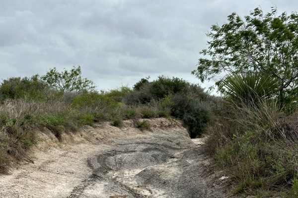 Mud to Sand Hills