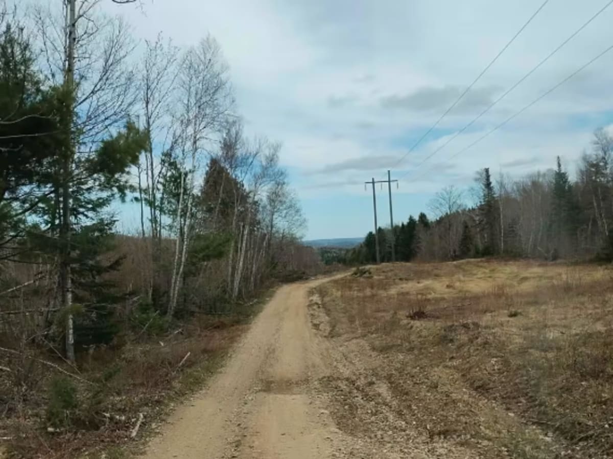 Douglas Hydro Line photo 3