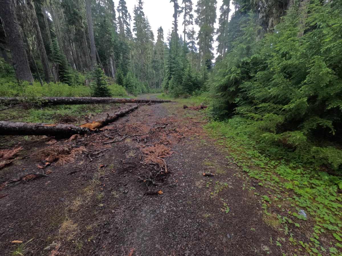 FS 9085080 trail photo