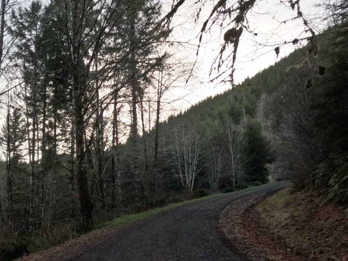 BSM Road photo 3