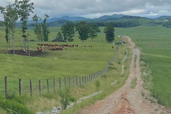 Glade Mountain 
