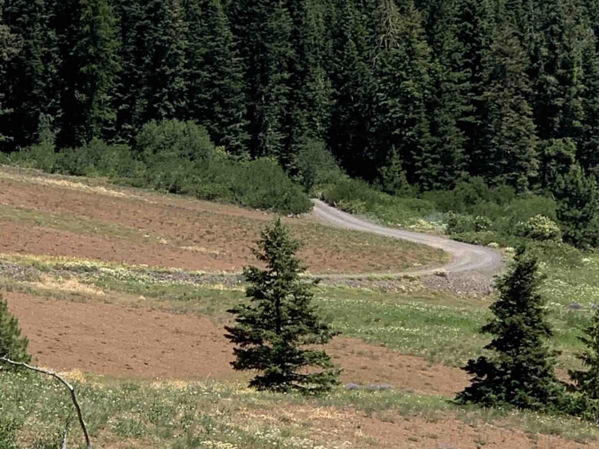 Hells Canyon Overlook - Dirt Road Approach photo 2