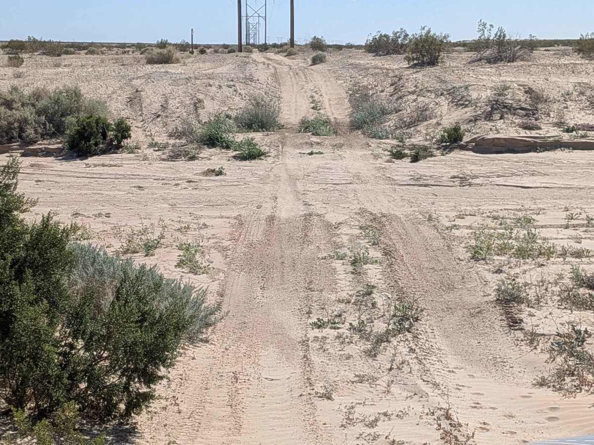 BLM 326 photo 5