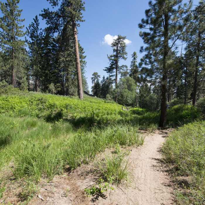 Near Grand View Point Hike