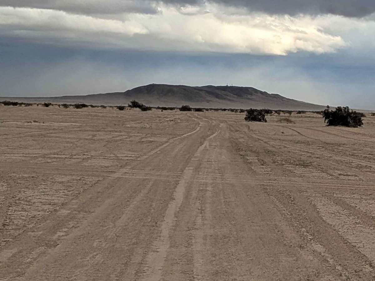 BLM 198 photo 5