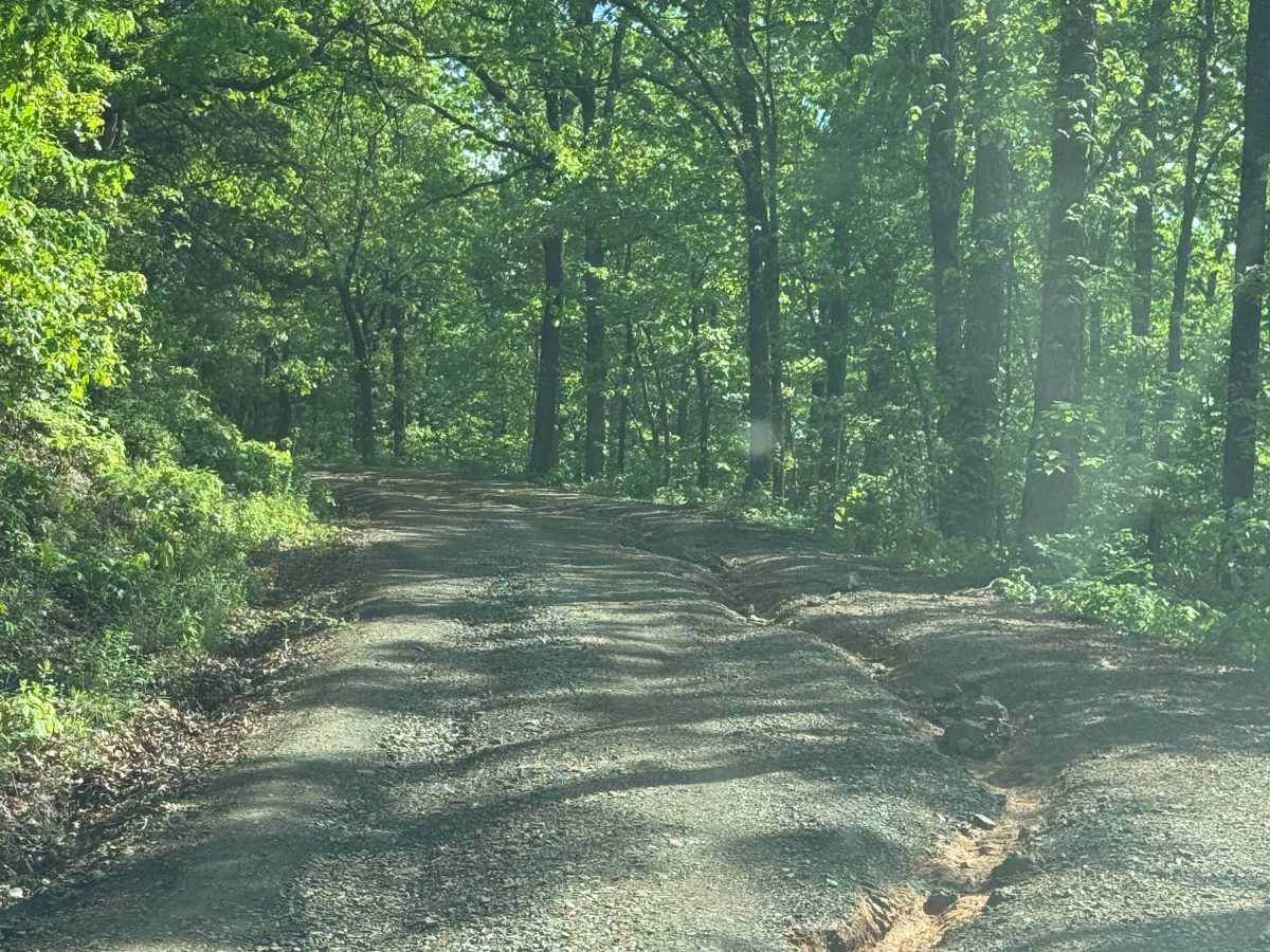 Pilot Rock Mountain Road photo 2