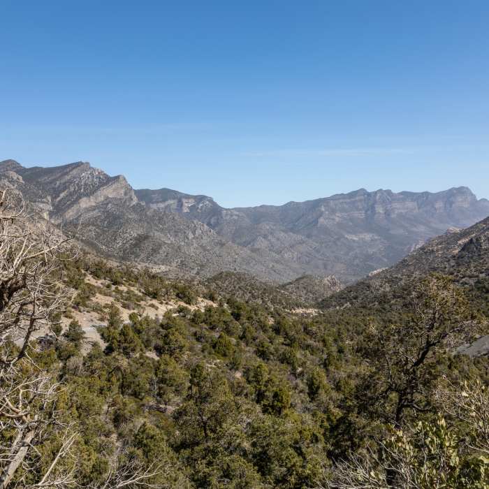 La Madre Mountains. Near Rocky Gap Road