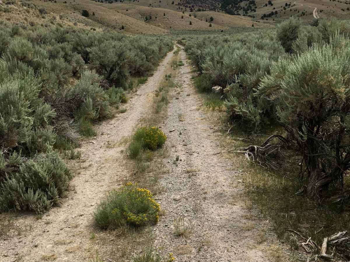 BLM 1837 / FS 70107 photo 2