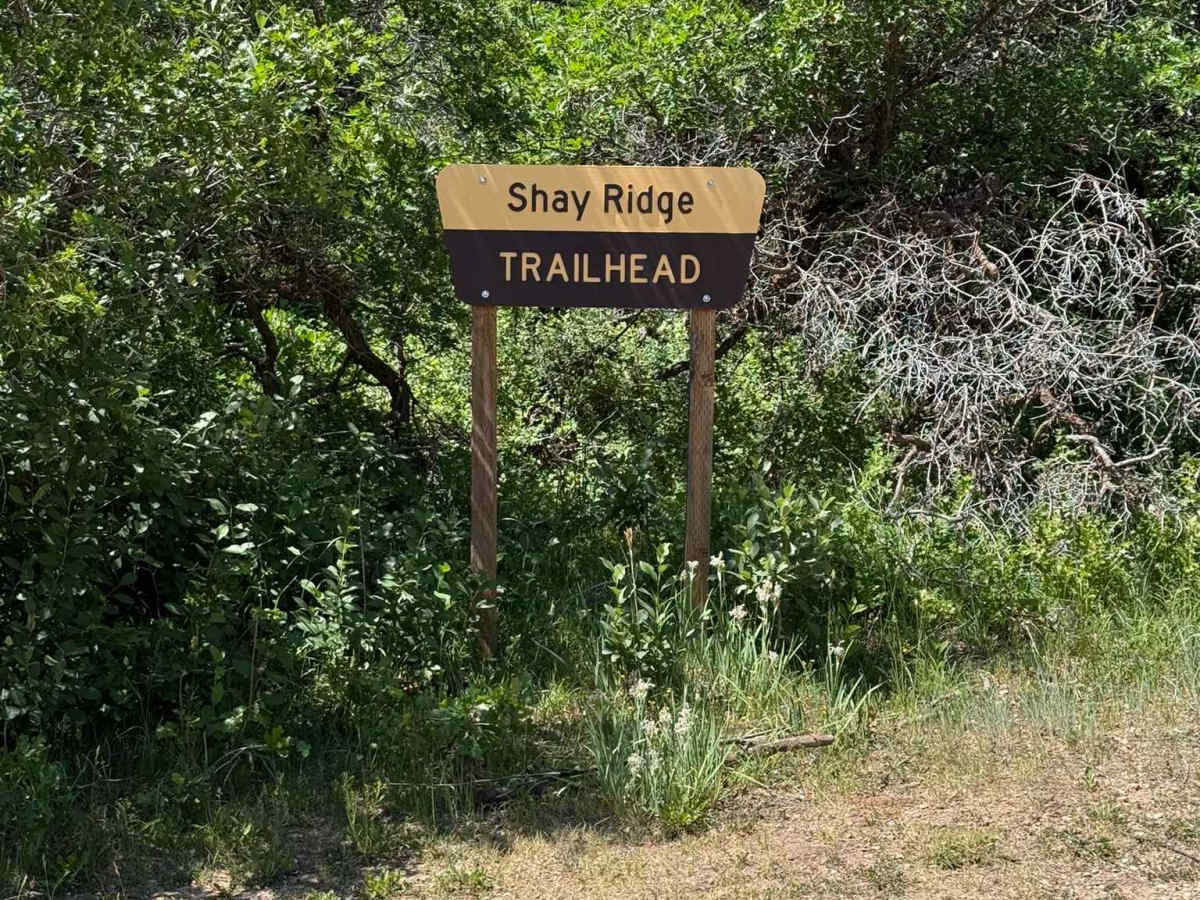 Shay Ridge OHV Trail N0. 162 photo 2