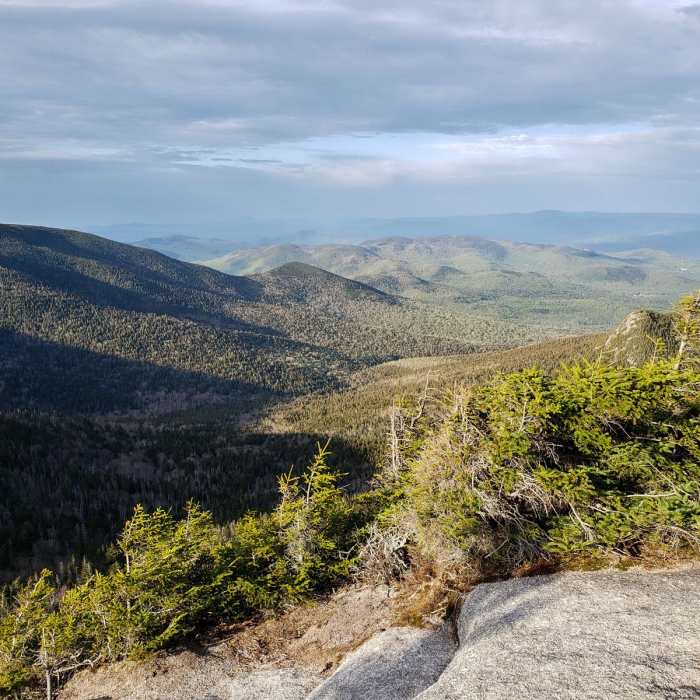 Near Sandwich Dome via Sandwich Mountain Trail + Drakes Brook Trail Near Sandwich Dome via Sandwich Mountain Trail + Drakes Brook Trail