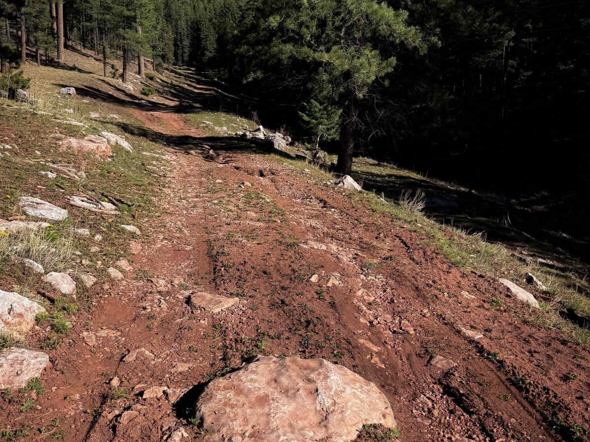 Windy Trail - 612  photo 4