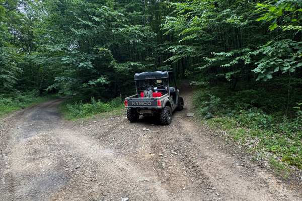 Trail 31