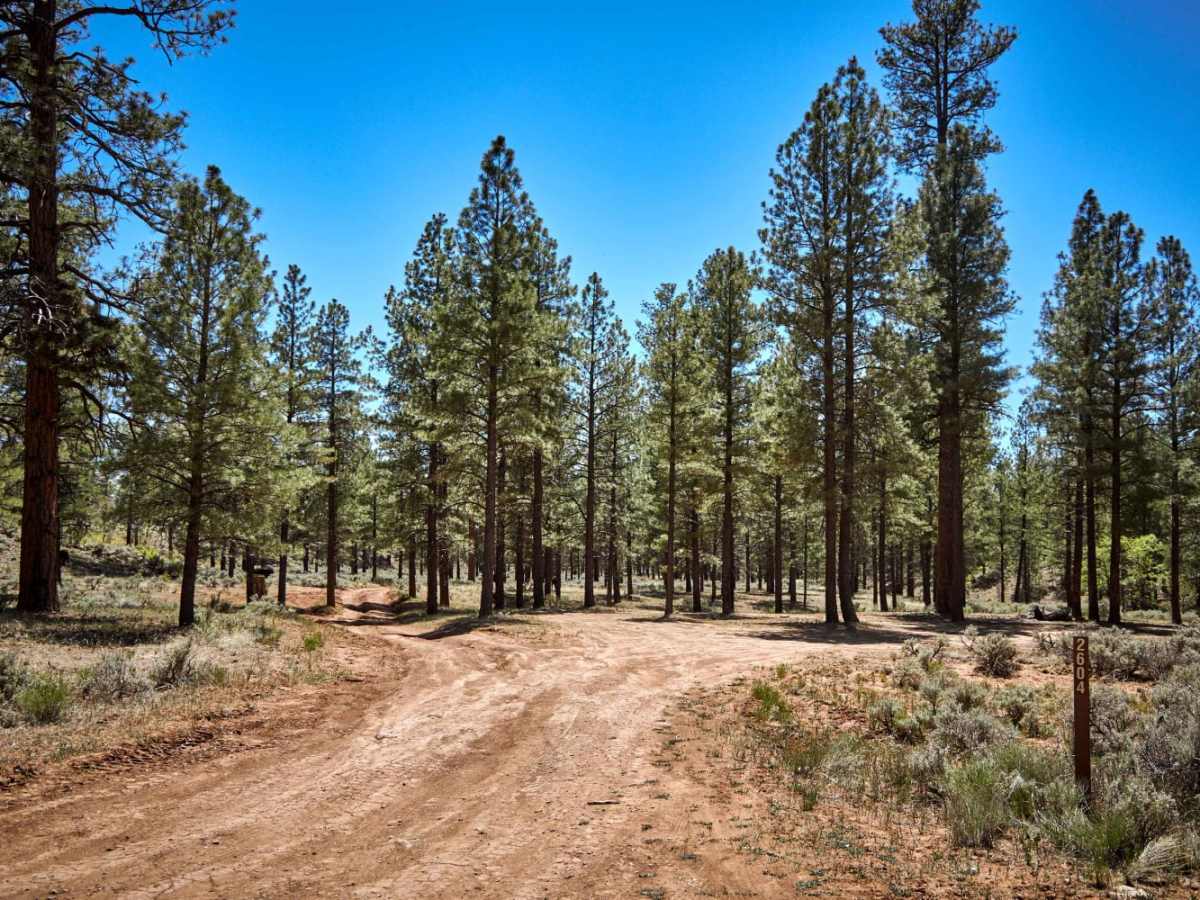 Old 2604 Road trail photo