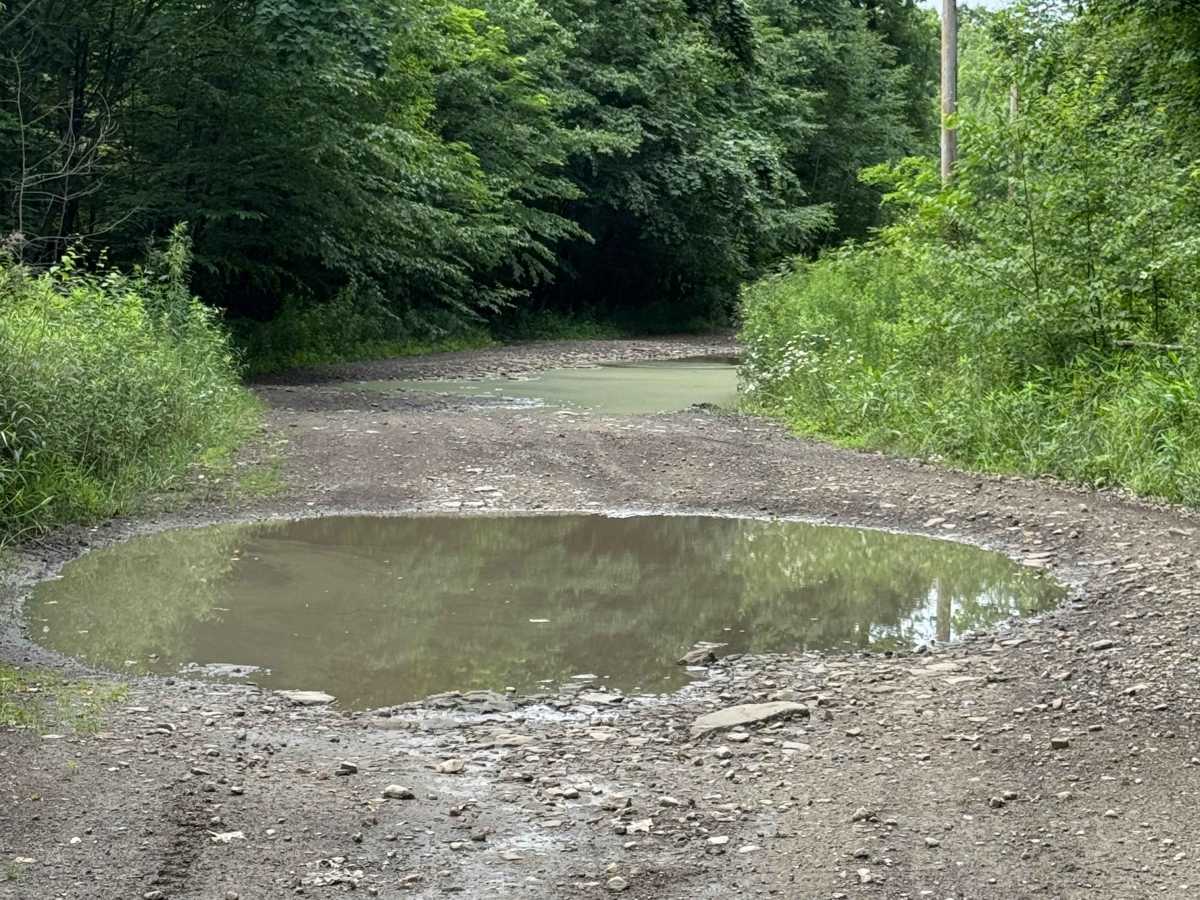 Trail 23 photo 6