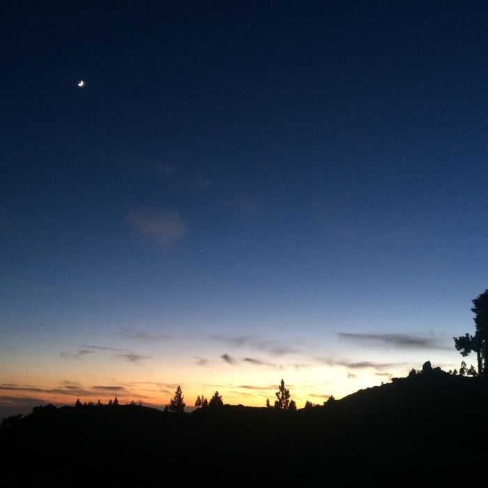 Top of the grade at dusk. Near Plantation Trail (1W12)