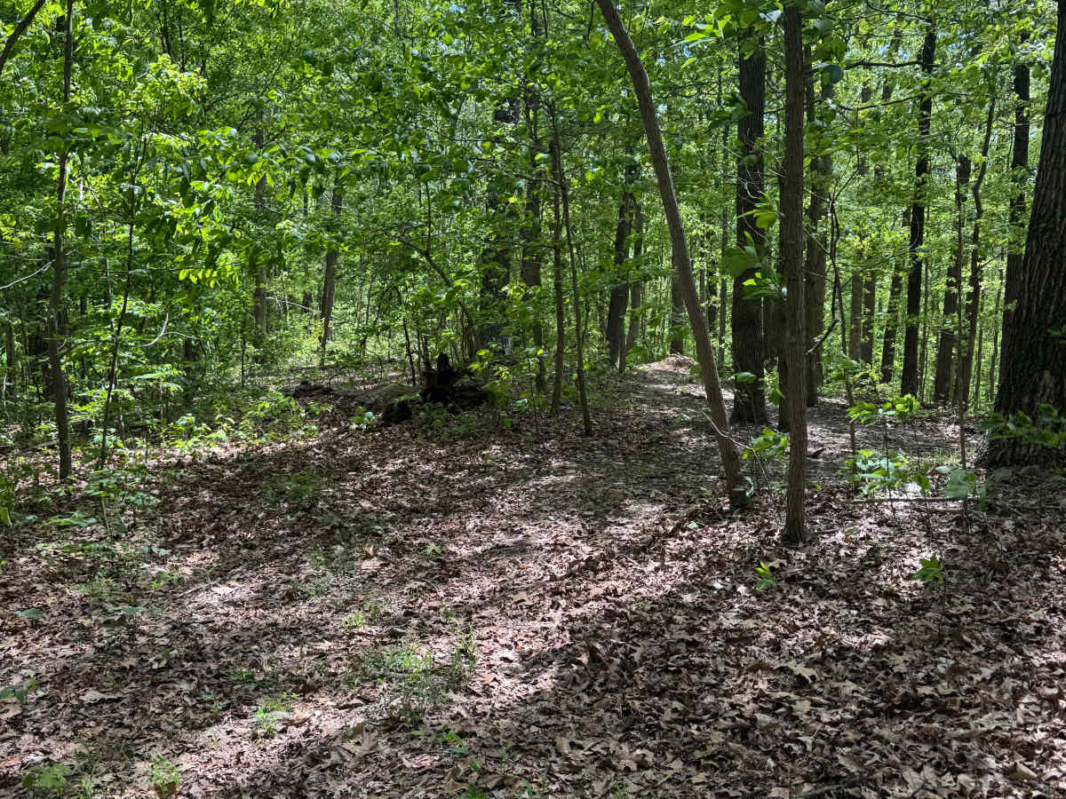 Goose Ridge Trail photo 4