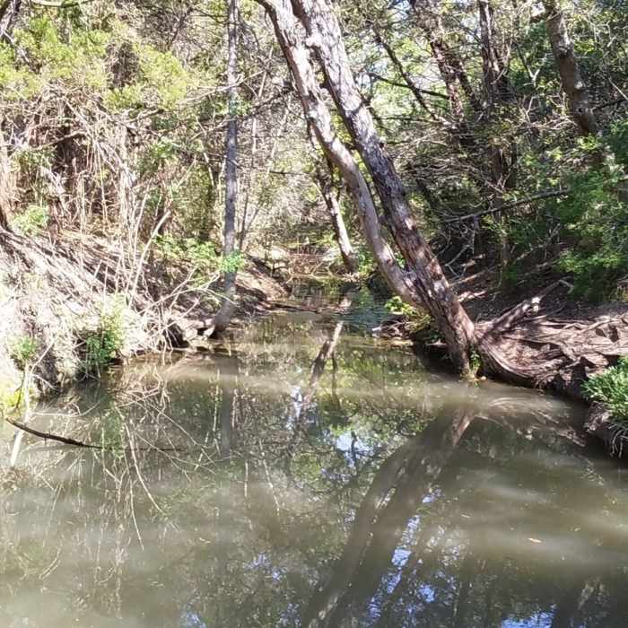 Near Northern Walnut Creek Trail
