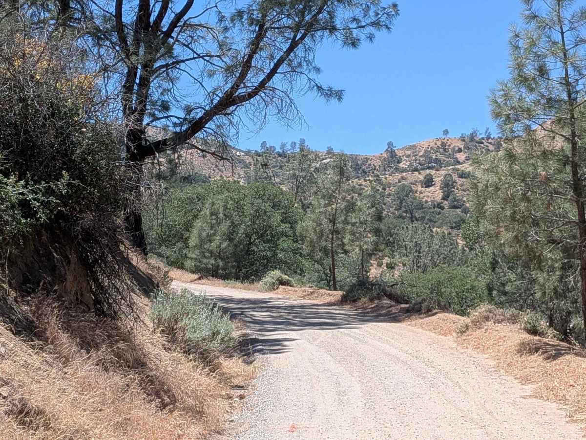 Sawmill Road photo 2