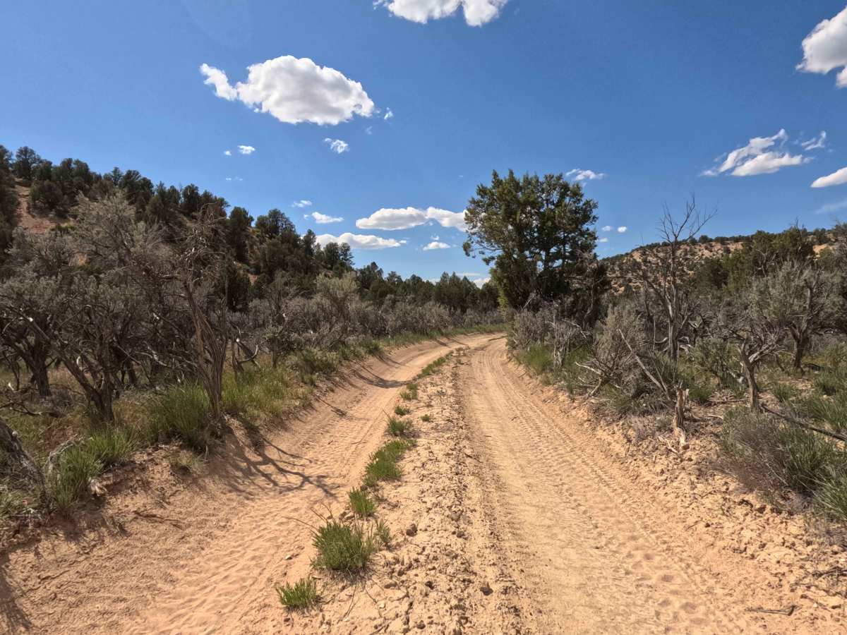 BLM 47 photo 4