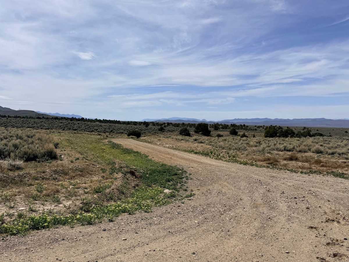 South Old Highway Road photo 4