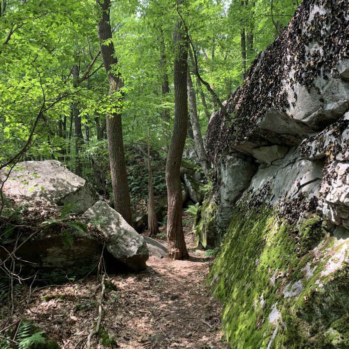 Neat rock formation! Near Sugarloaf Sled Hill to Falls Overlook