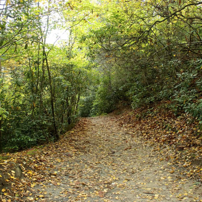Near Triple Falls Near Triple Falls