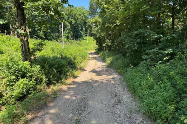 County Road 419