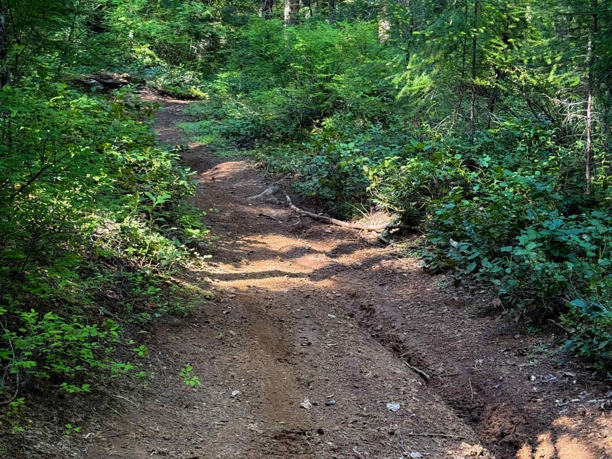 301 trail photo