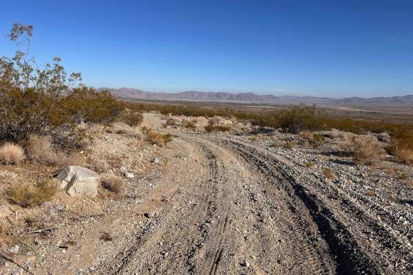 Dust Bowl Rip