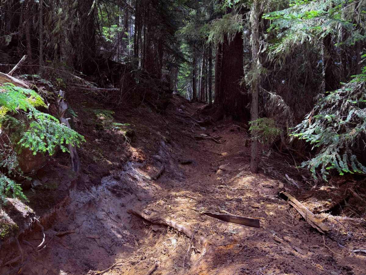 Middle Fork - 945  photo 3