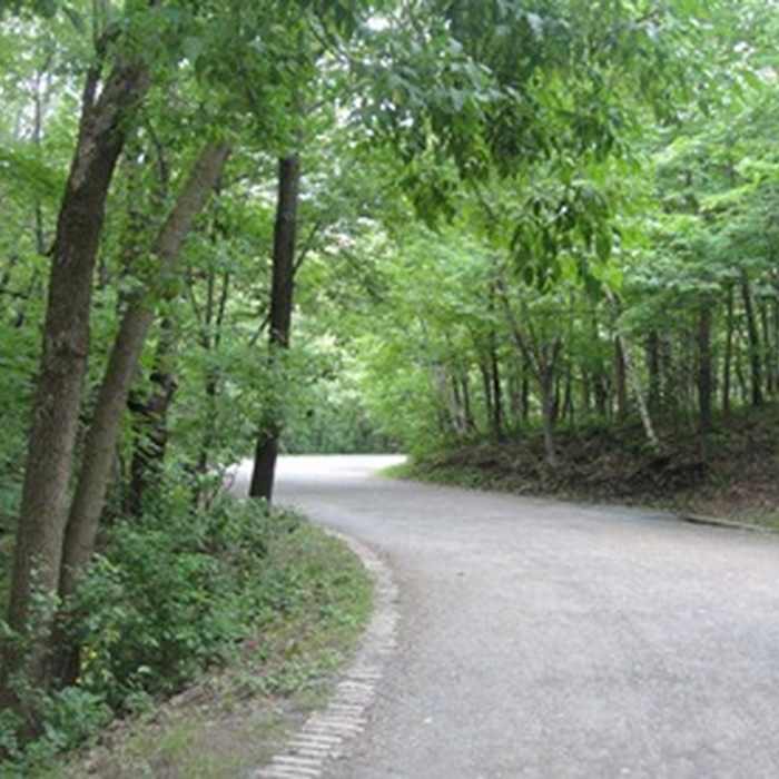 Near Chemin Olmstead