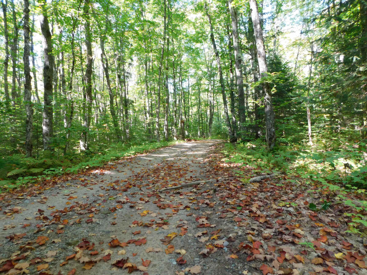 Camp 7 Trail photo 5
