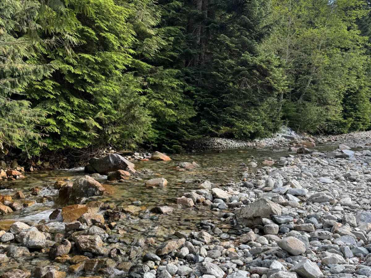 Grotto Falls  photo 5