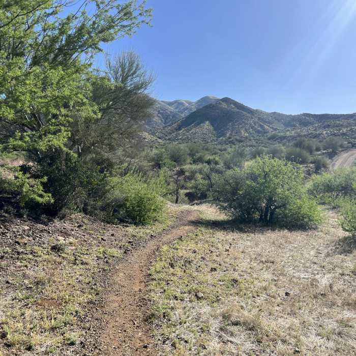 Near Reavis Canyon / Happy Camp Loop