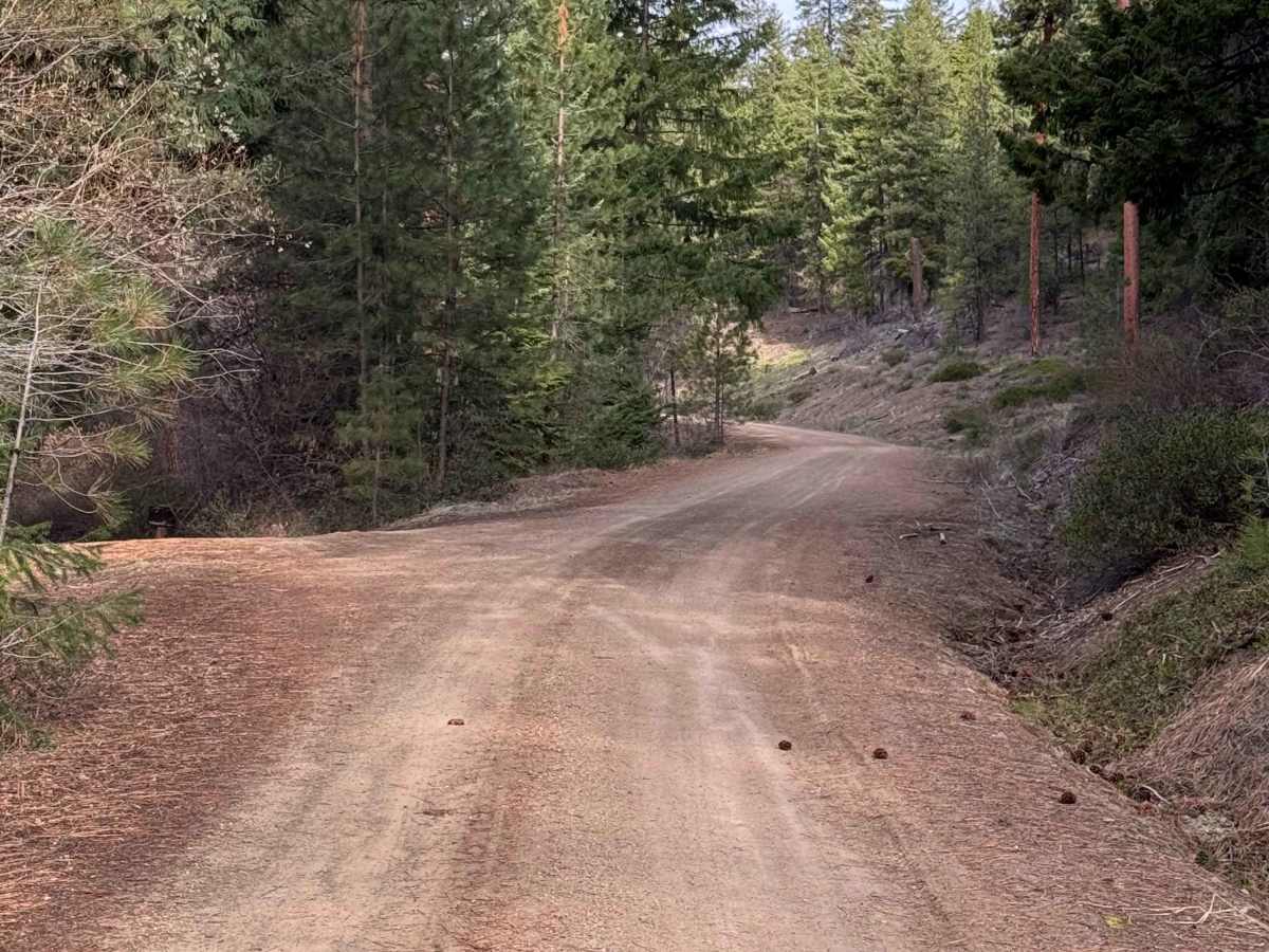 Russell Ridge - FS 1306 photo 3
