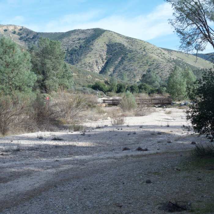 Near Bench Trail