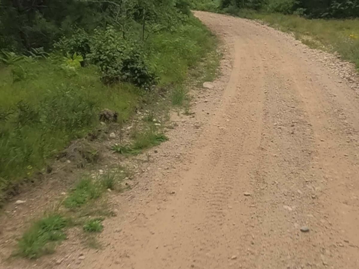 ORV Route C- Gwinn Portion photo 2