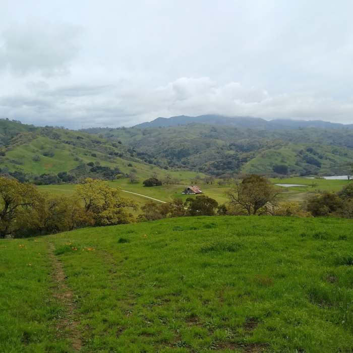 Near Bay Area Ridge Trail: Joseph D. Grant County Park
